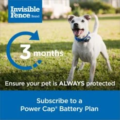 PetSafe Single Invisible Fence Battery -PetSafe Shop Sale 940510 PT4. AC SS1800 V1692306127