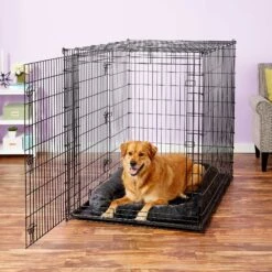 Frisco Heavy Duty Enhanced Lock Double Door Fold & Carry Wire Dog Crate & Mat Kit & MidWest Quiet Time Fleece Dog Crate Mat -PetSafe Shop Sale 947398 PT8. AC SS1800 V1693920163
