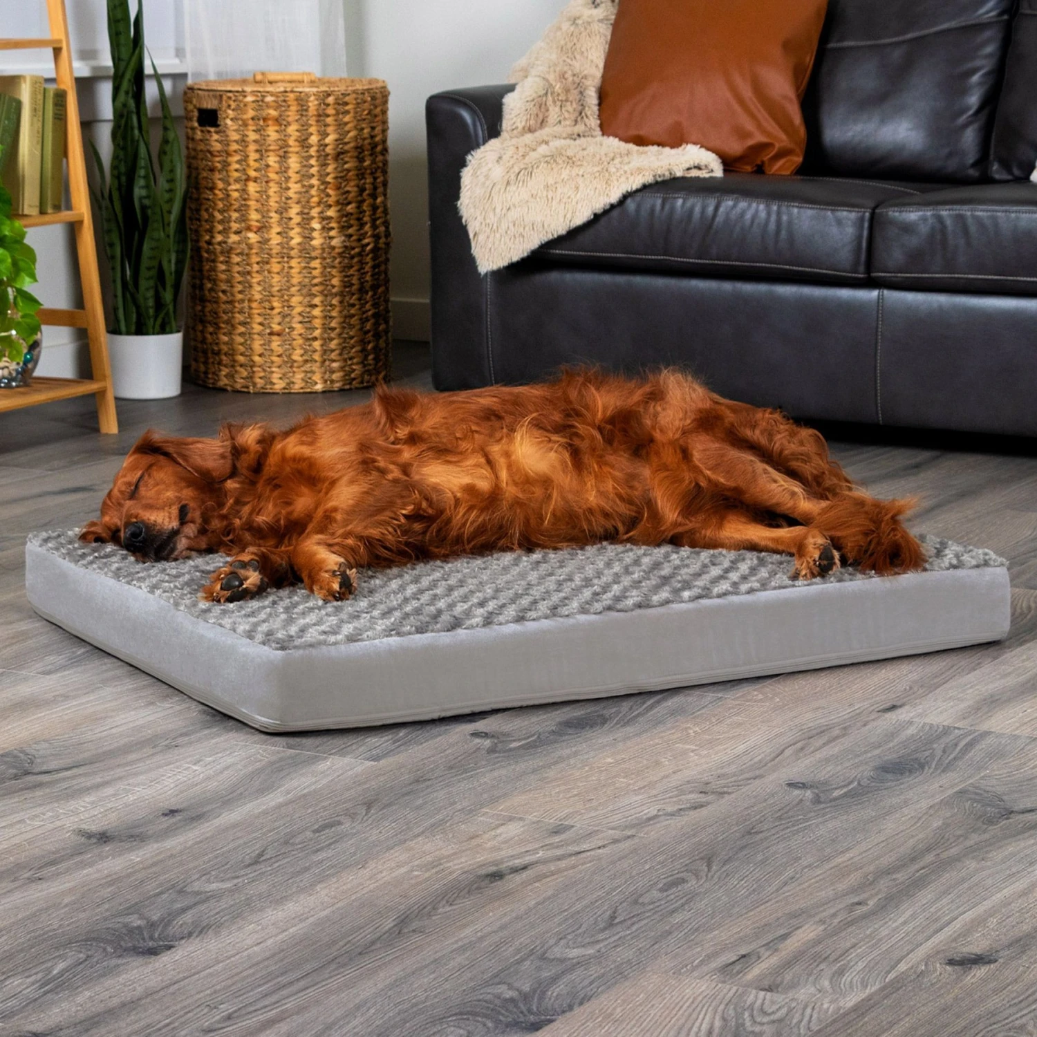 FurHaven NAP Ultra Plush Orthopedic Deluxe Cat & Dog Bed With Removable Cover & FurHaven Water-Resistant Cat & Dog Bed Mattress Liner 5 FurHaven NAP Ultra Plush Orthopedic Deluxe Cat & Dog Bed With Removable Cover & FurHaven Water-Resistant Cat & Dog Bed Mattress Liner - Image 5