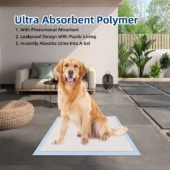 Honey Care All-Absorb Ultra Absorbent Odor Eliminating Quick-Dry Surface Dog Pads, 22x23-in, 14 Count -PetSafe Shop Sale 982982 PT3. AC SS1800 V1697711087