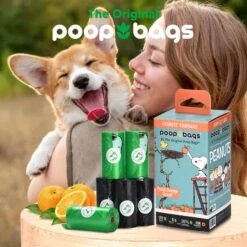 The Original Poop Bags Peanut Orange Scented Dog Waste Bags, 120 Count -PetSafe Shop Sale 989182 PT5. AC SS1800 V1703016587