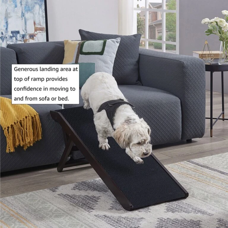 PetSafe Shop Sale -PetSafe Shop Sale 263523 PT1. AC SS1800 V1646413620 768x768 1